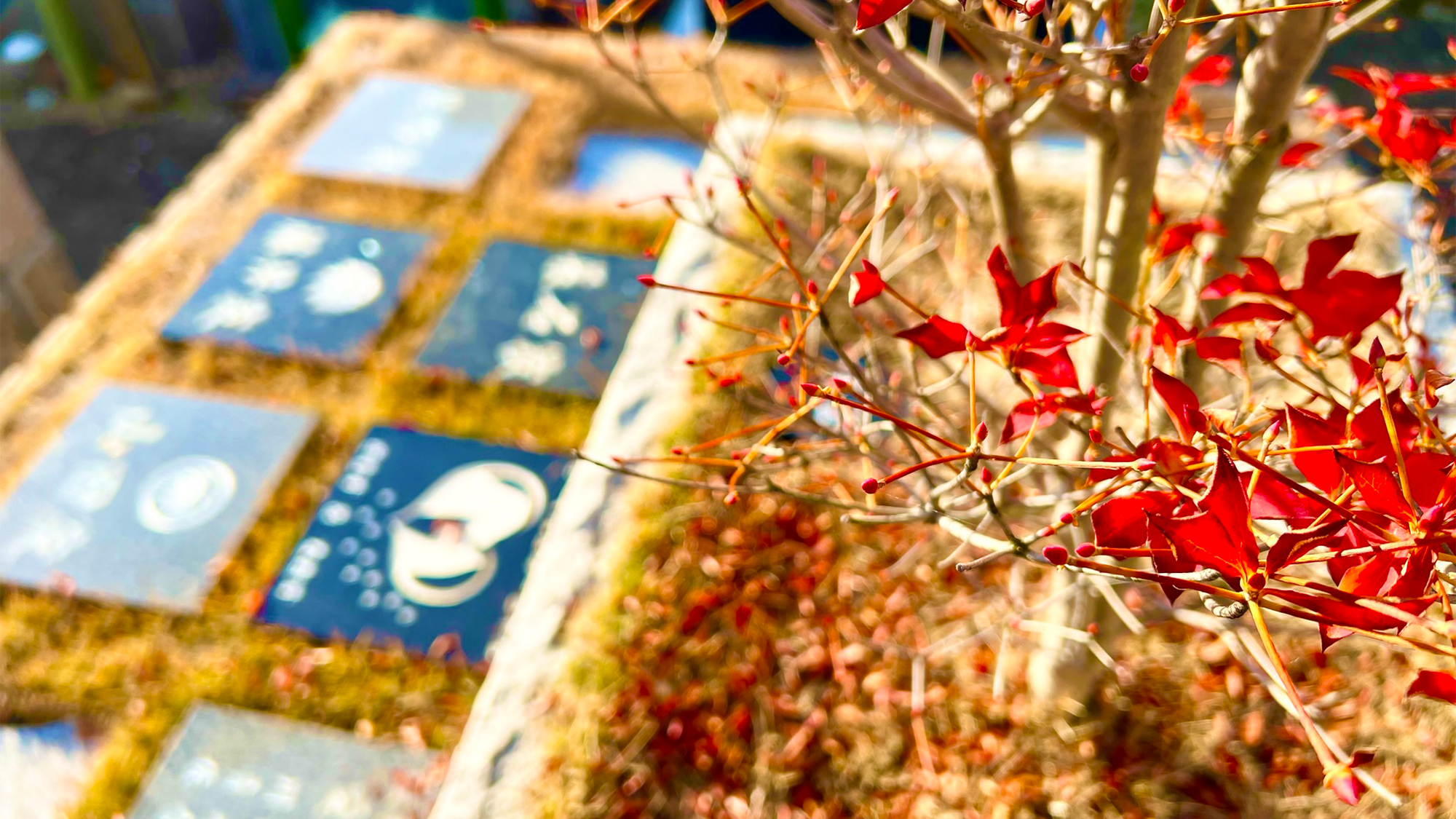 グランジュール平和公園