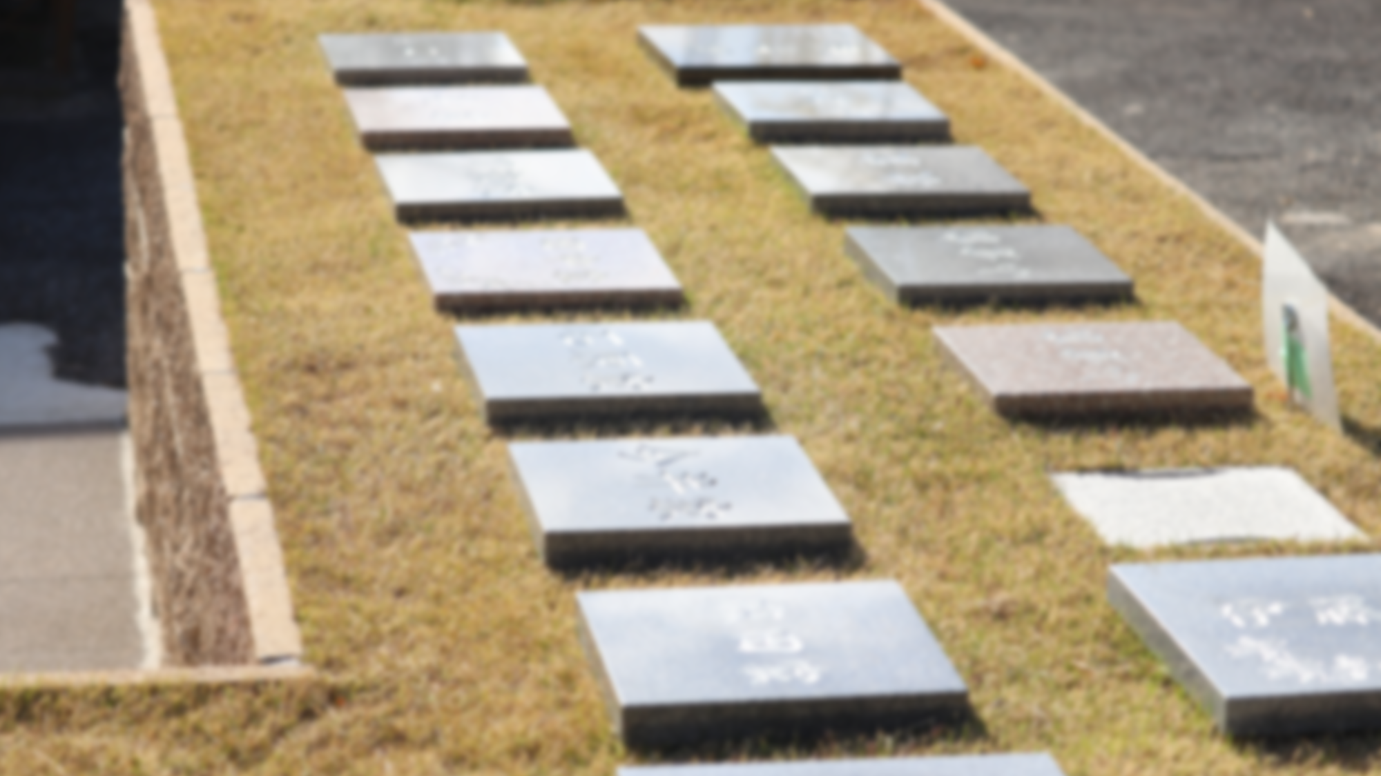 グランジュール大高